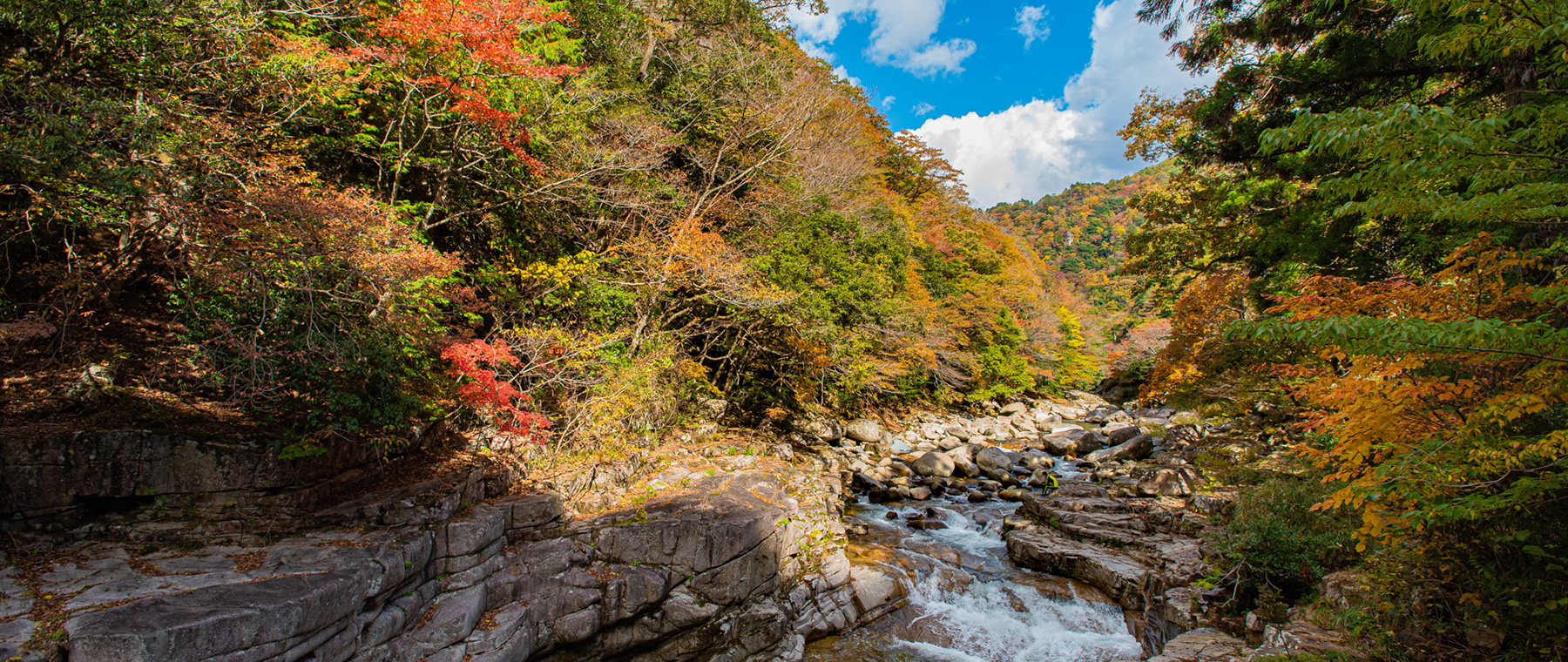 岡山県北イメージ