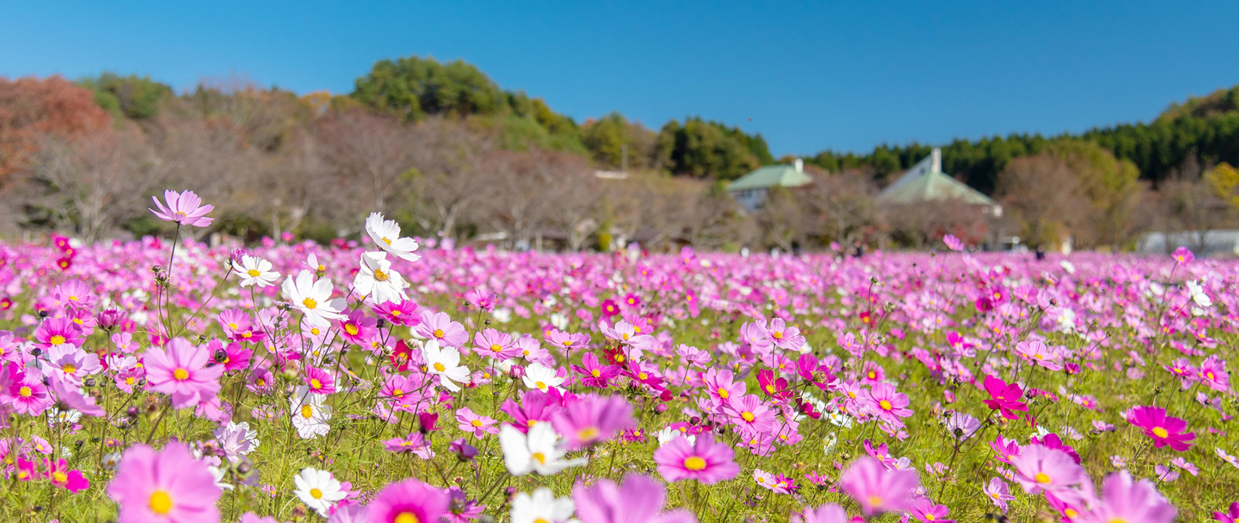 岡山県北イメージ