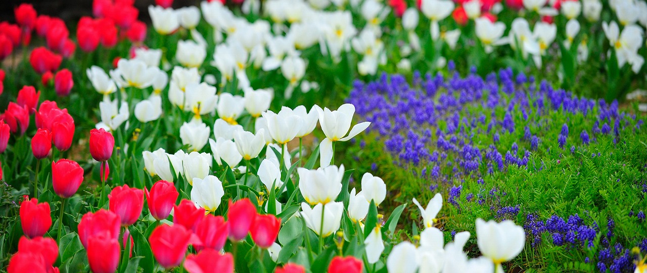 津山市大田イメージ