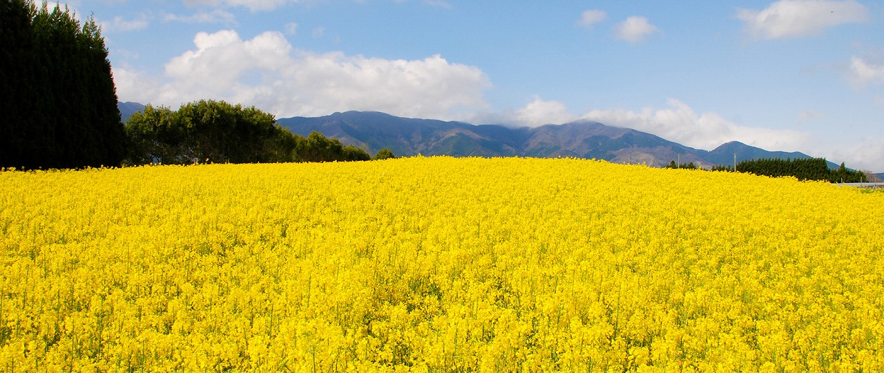 勝田郡奈義町豊沢