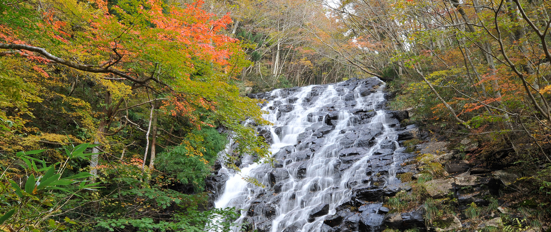 津山市阿波イメージ