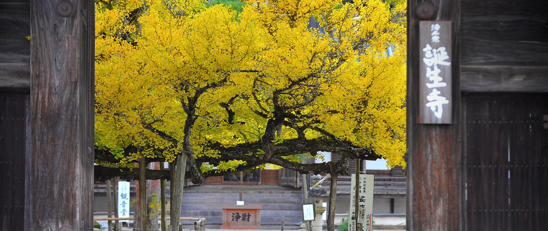 久米南町誕生寺イメージ