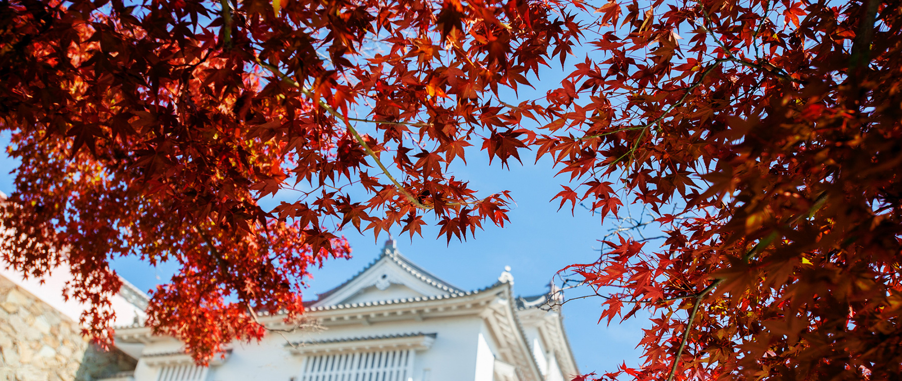 津山市山下イメージ