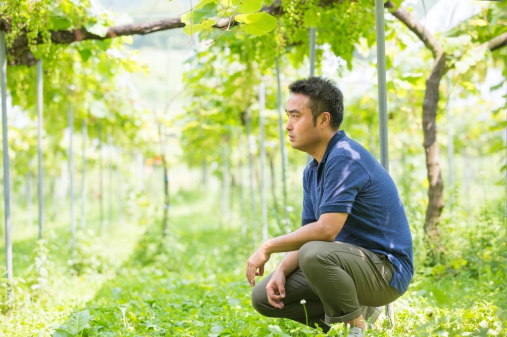 ぶどう畑でしゃがむ高橋竜太さん
