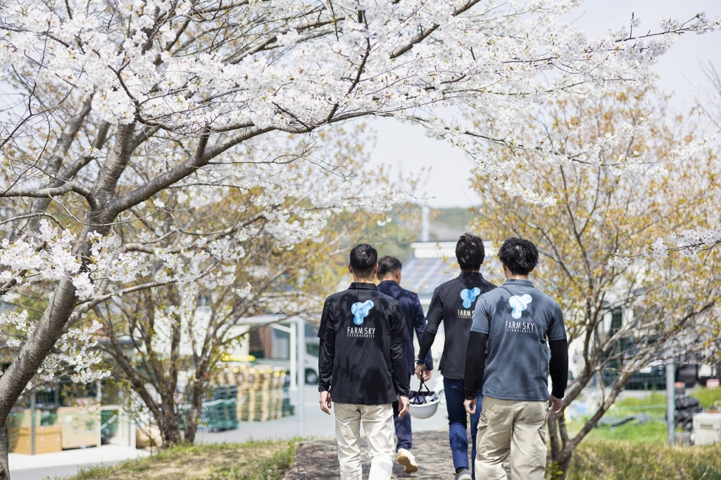 桜に囲まれた道を歩く企業ユニフォームの社員４名の後ろ姿