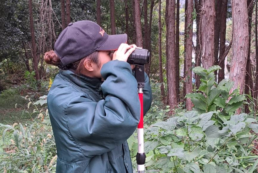 森林の中で測量機器を覗き込んでいる矢吹さん