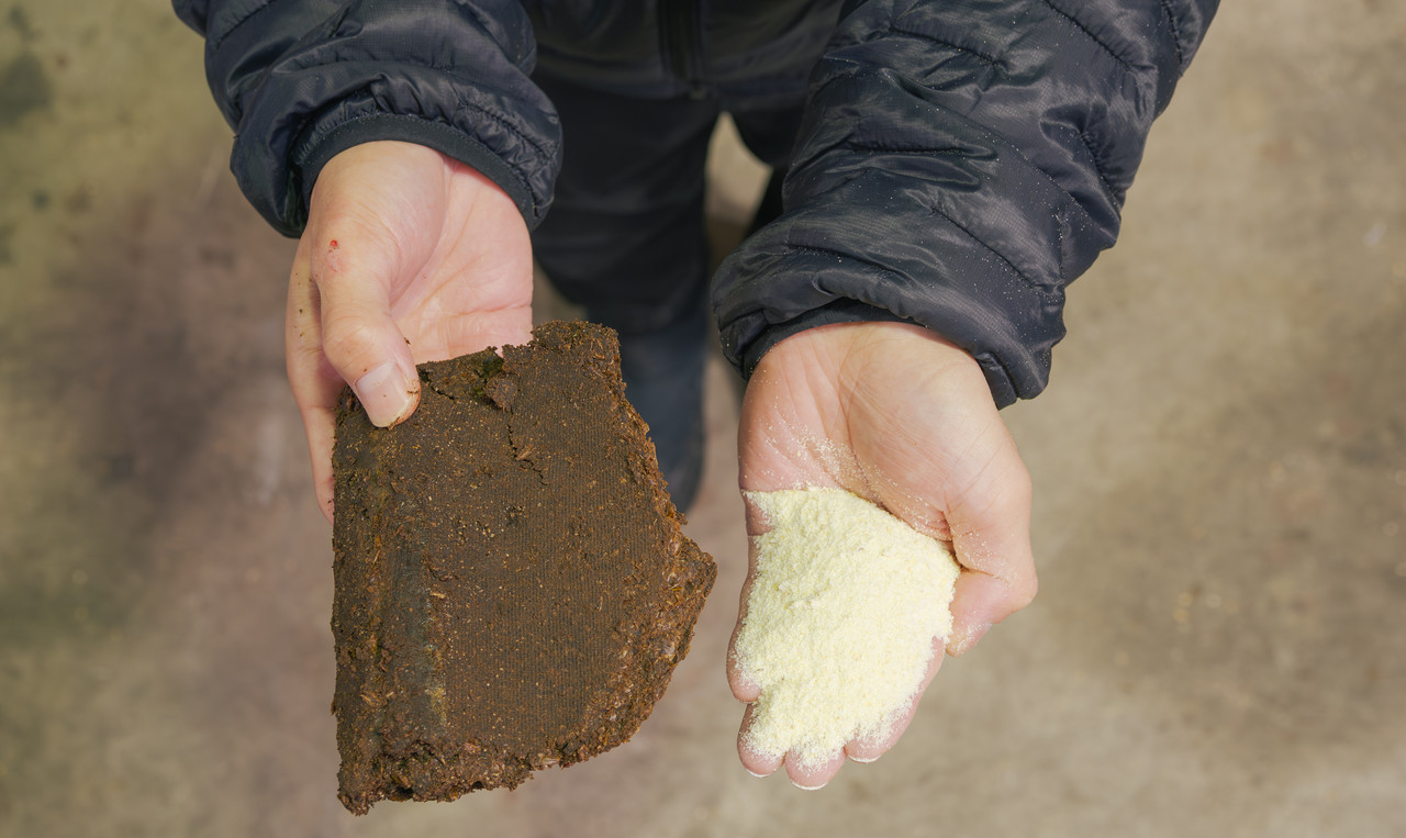 両手に乗せられた2種類の飼料原料