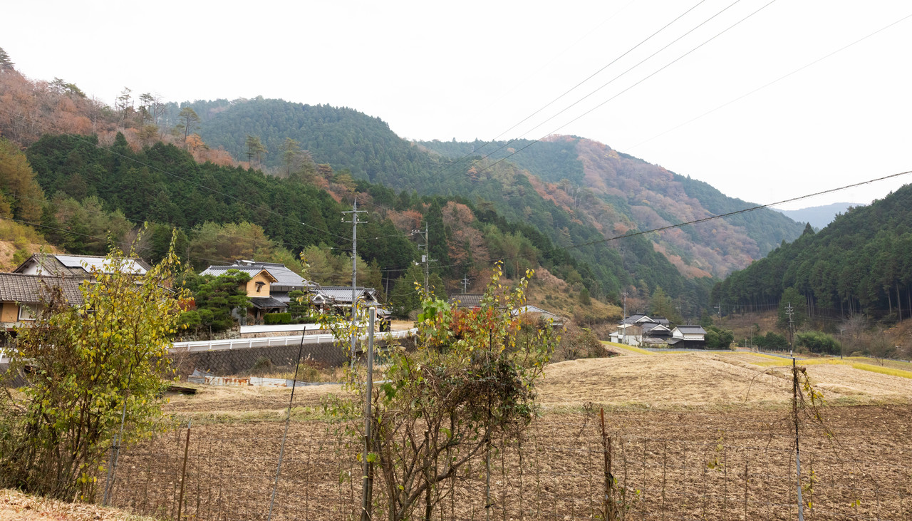 山と田畑に囲まれた集落の風景