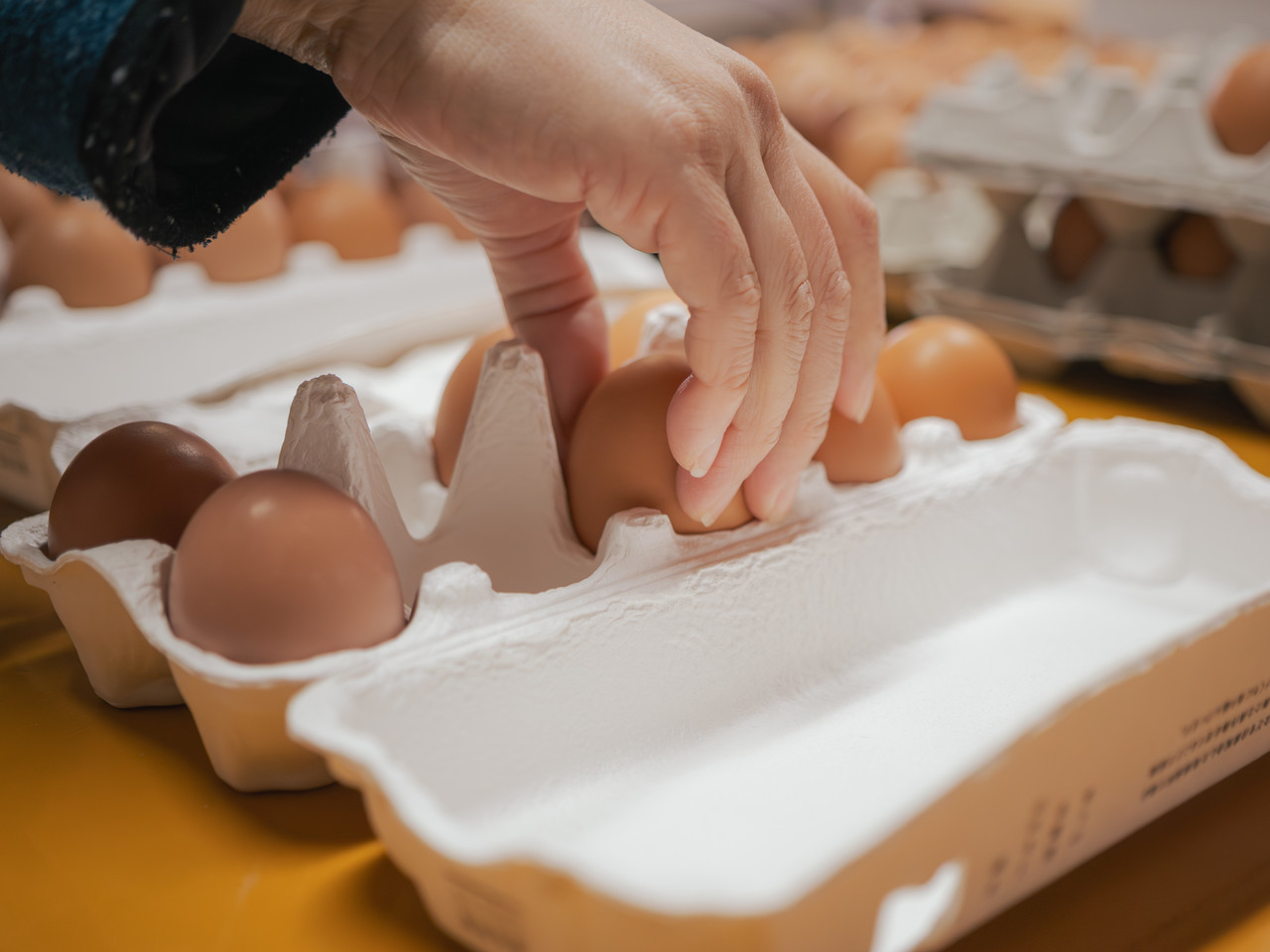 卵をパックに詰める手元