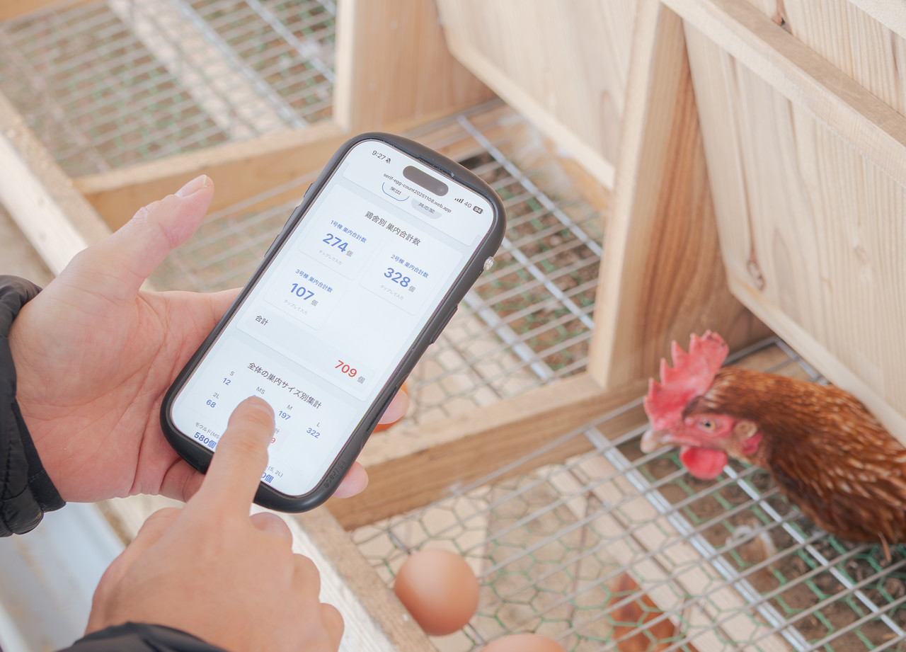 スマートフォンで卵の数を記録する手元
