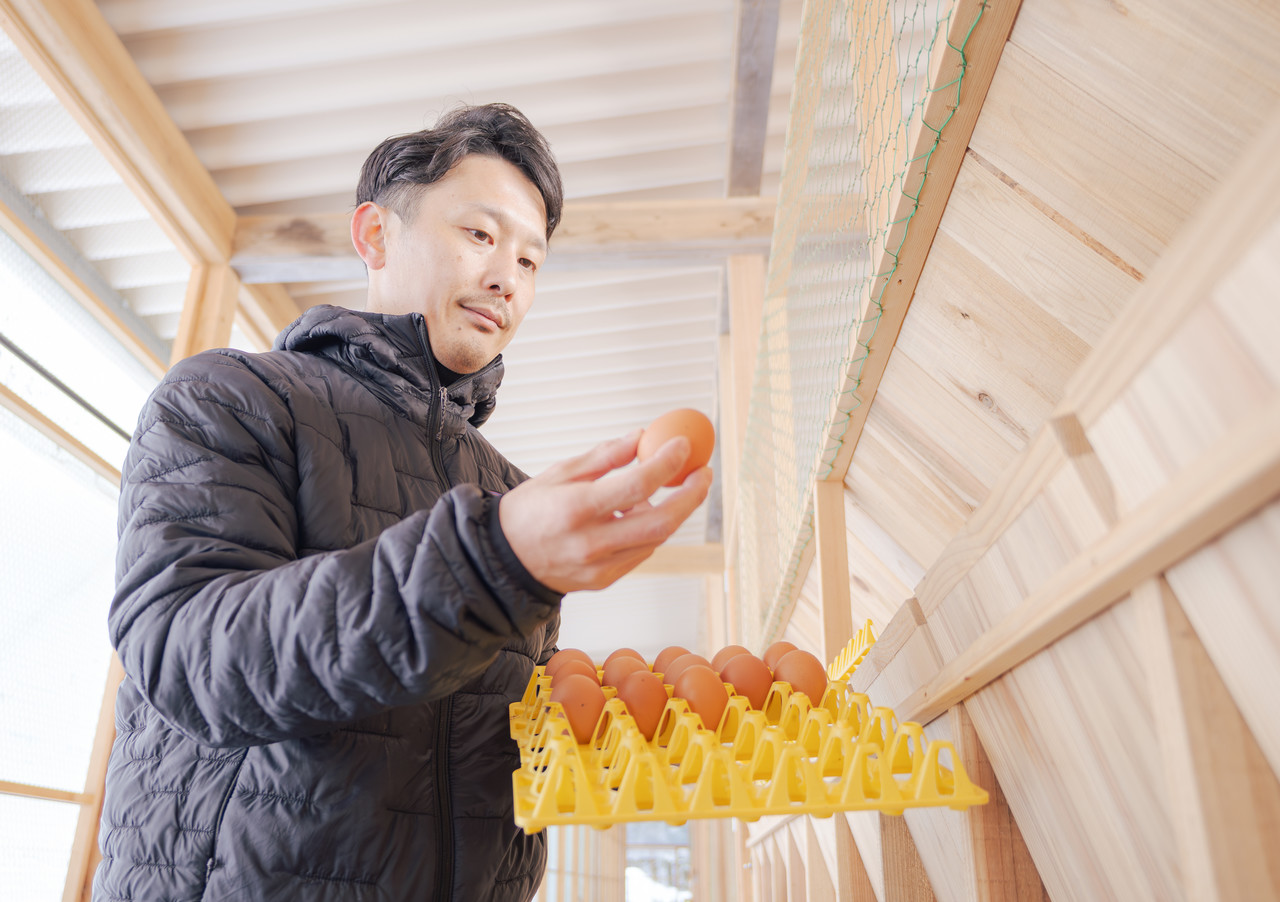 卵をケースに並べる男性