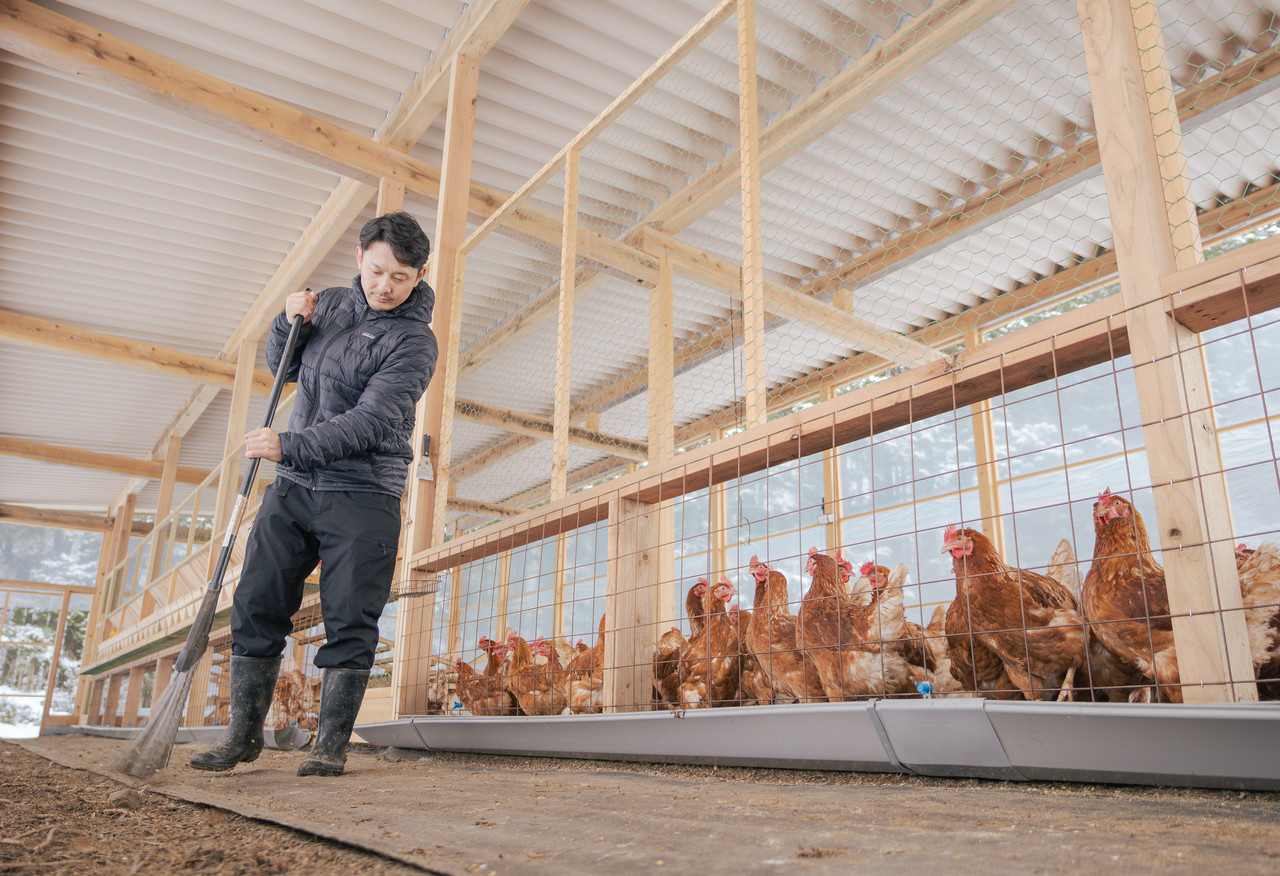 鶏舎の床をほうきで掃く男性