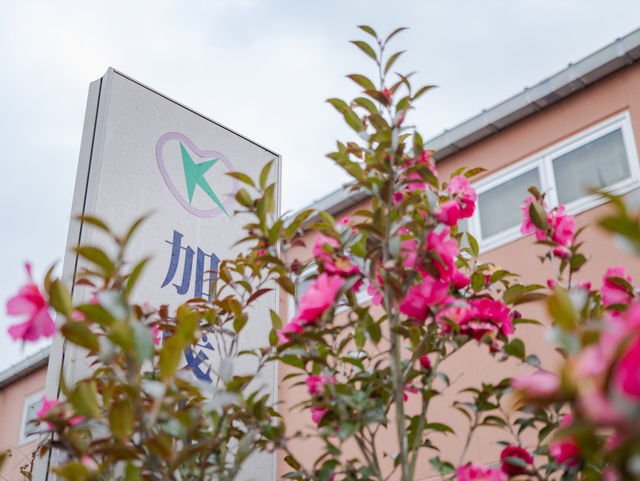 ピンク色の花が咲く植え込みの奥に設置された、加茂光陽会のロゴと名称が入った看板。