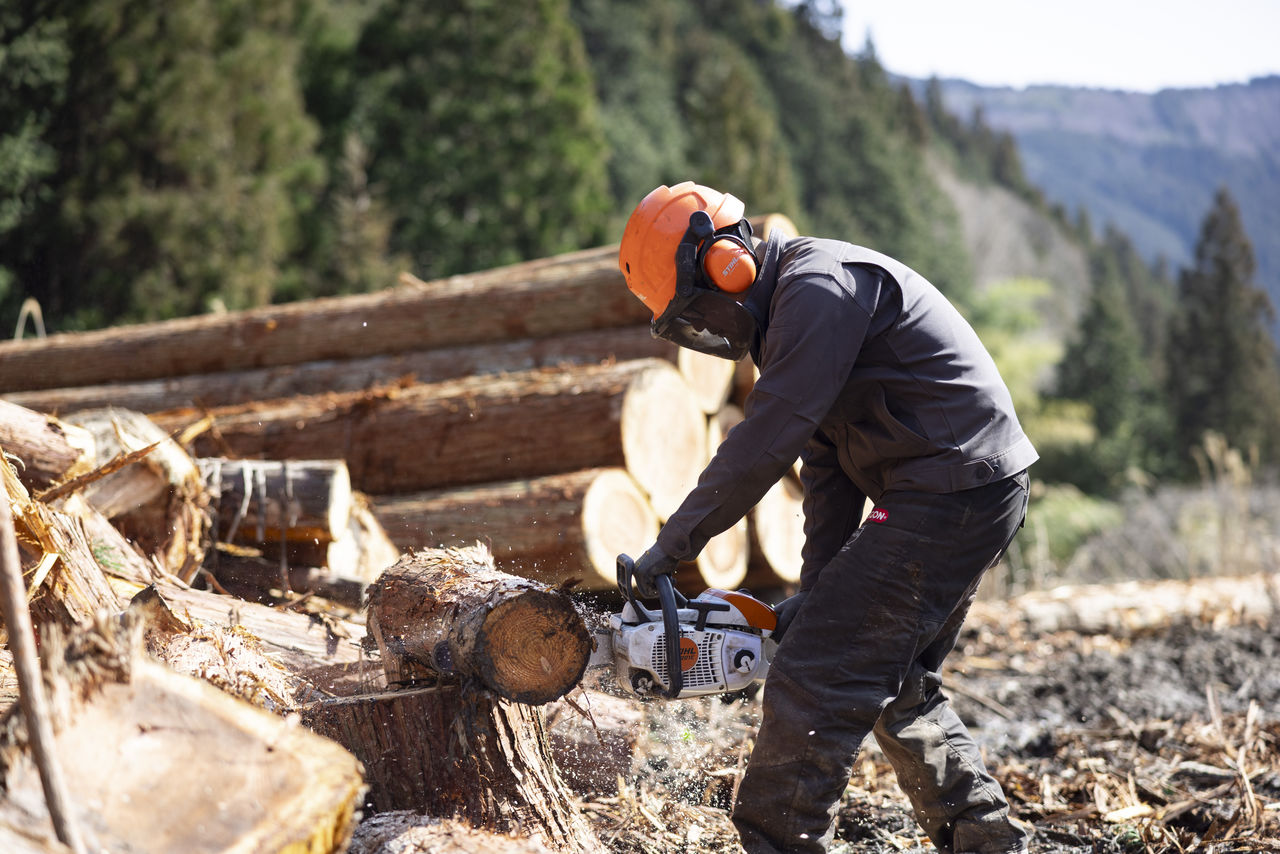 積み上げられた丸太の上でチェーンソーを使用し、木を切断する作業員