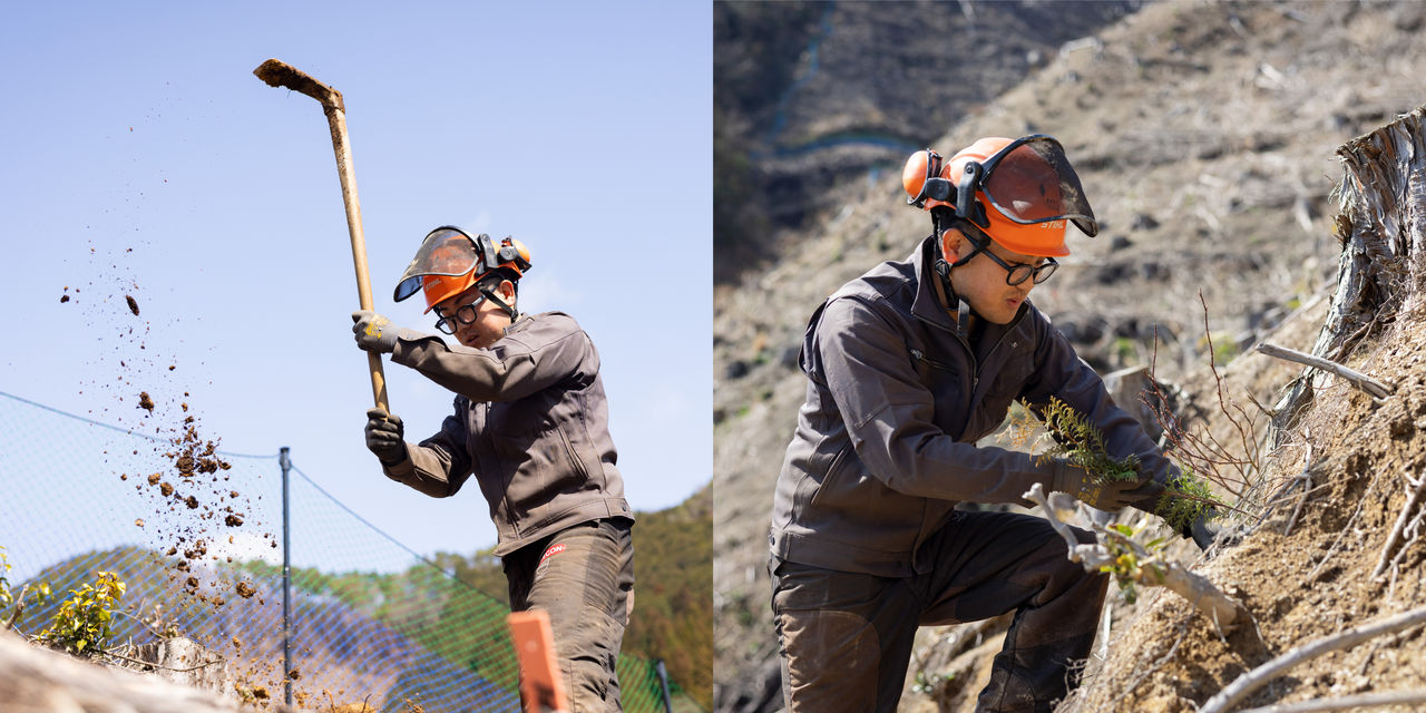 山の斜面でクワを振り下ろして穴を掘る作業員と、苗木を植え付ける作業員の様子