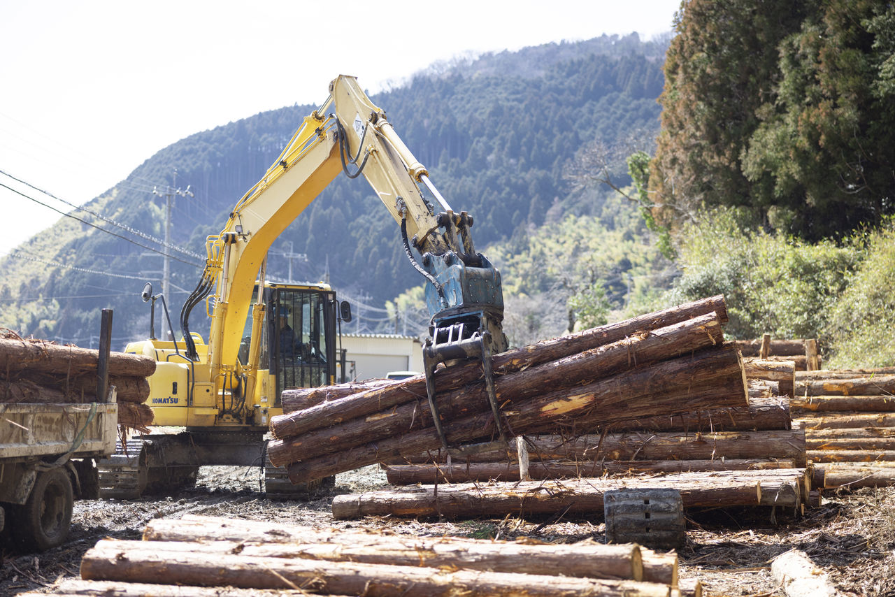 グラップルで複数の丸太を掴み、トラックへ積み込み作業を行う重機
