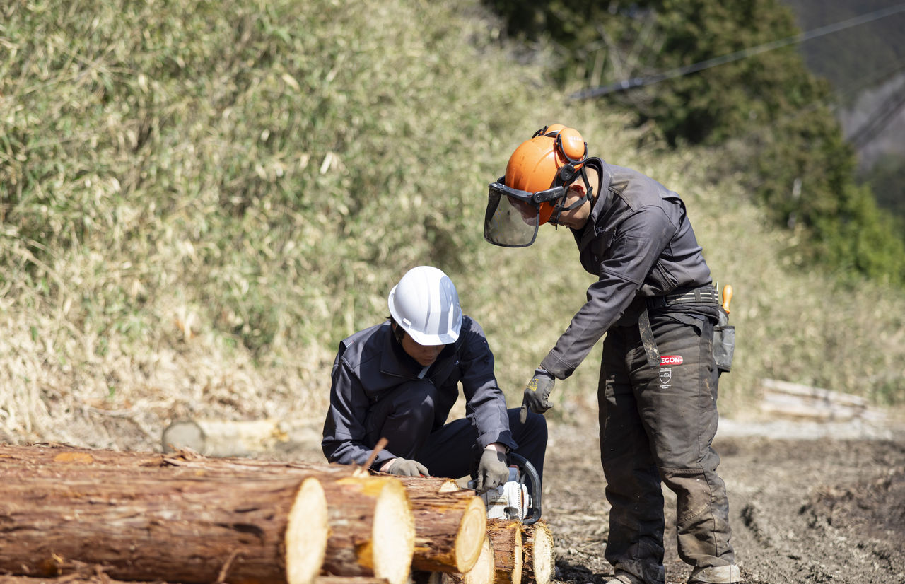 先輩作業員が後輩に対し、チェーンソーを使った丸太の切り方を指導する様子