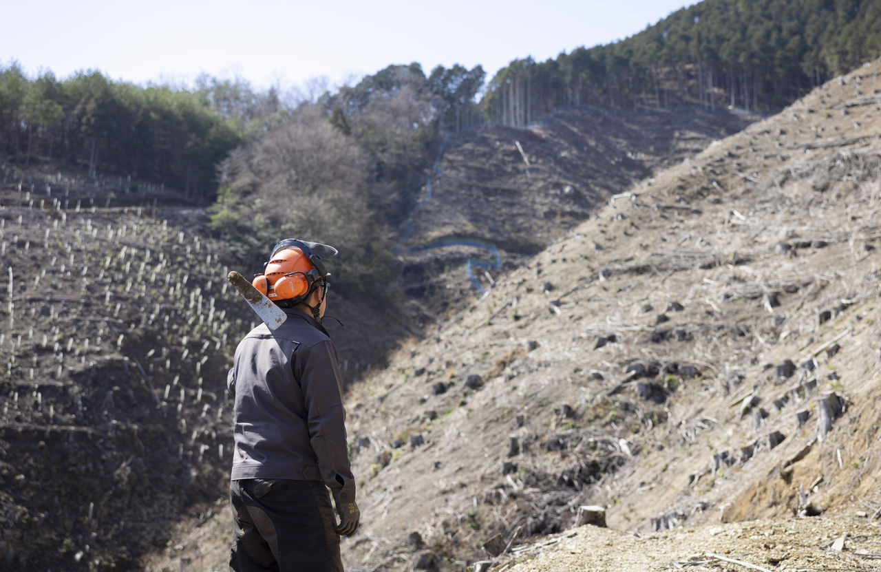 クワを肩に担ぎ、伐採された広大な山の斜面を見下ろす三宅さんの後ろ姿