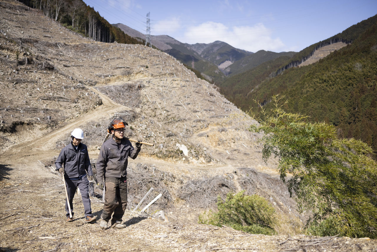 伐採された山の斜面に作られた道を歩いて移動する2人の作業員