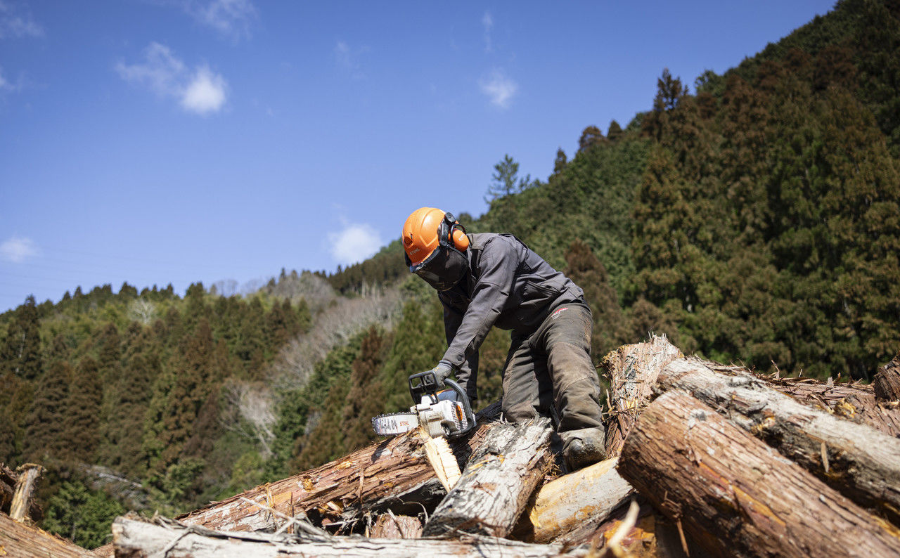 積み上げられた丸太の上でチェーンソーを使用して木を切る作業員