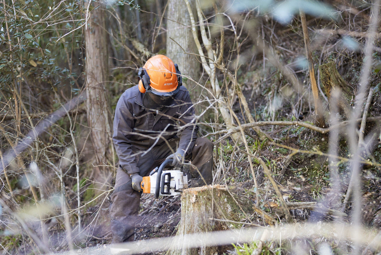 森林の中でチェーンソーを使用して立木を伐採する作業員