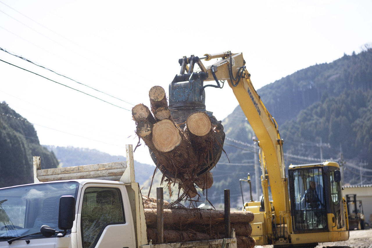 グラップルで複数の丸太を掴み、トラックの荷台に積み込む重機